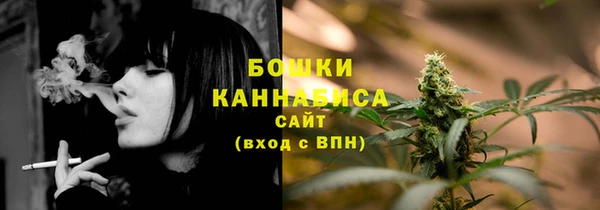 ГАЛЛЮЦИНОГЕННЫЕ ГРИБЫ Карталы