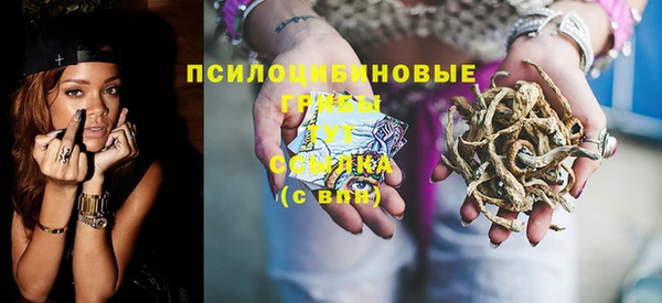 СК Зеленодольск