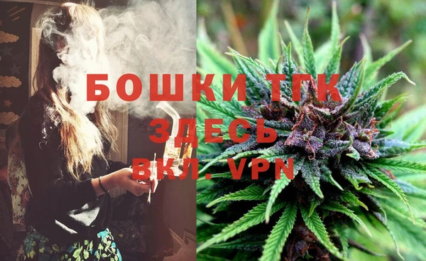 СК Зеленодольск