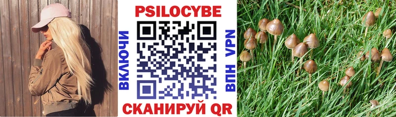 Купить где  Далматово  Галлюциногенные грибы Cubensis 